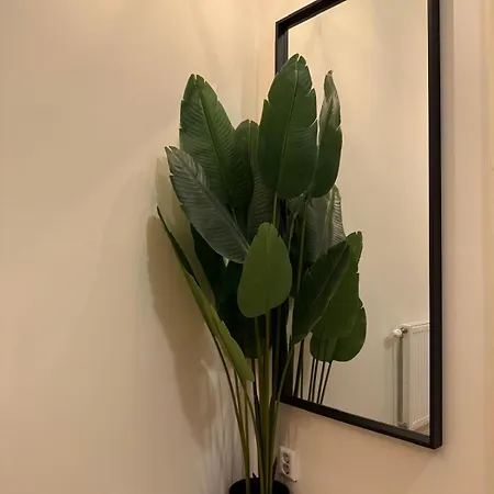 Apartment Central Studios